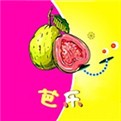 菲姬直播最新版